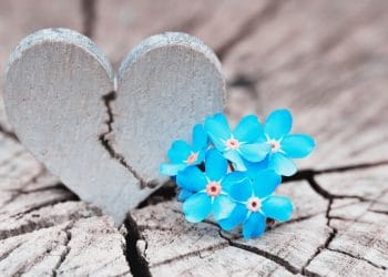 Heartbreak Hits Hard