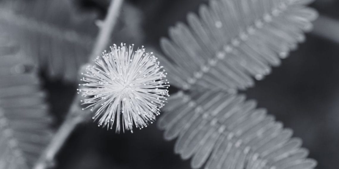 Maybe I’m Made of Glass?