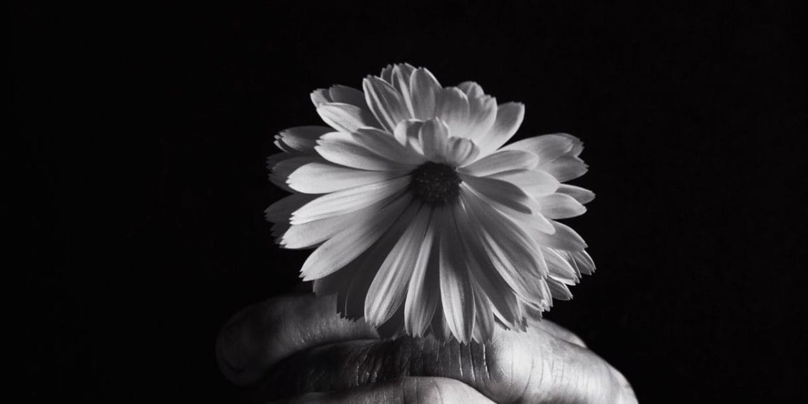 The Day I Lost My Grandfather