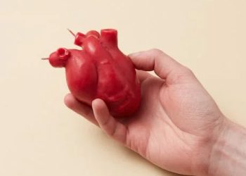 Hand holding a red anatomical heart model