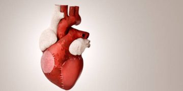 Model of a stitched human heart symbolising cardiovascular disease