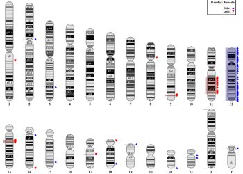 Causes and Genetics of Angelman Syndrome