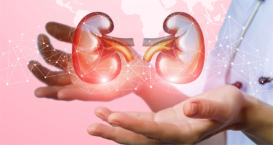 Causes and Risk Factors of Acute Kidney Injury