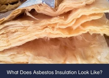 Causes and Risk Factors of Asbestosis