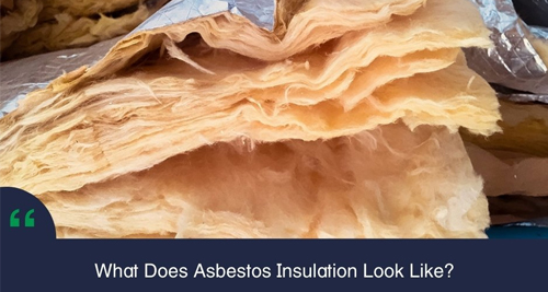Causes and Risk Factors of Asbestosis