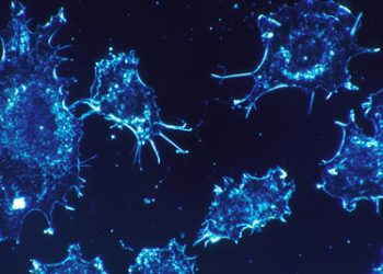 Microscopic image of immune cells, symbolising autoimmune activity linked to Behçet’s disease causes and risk factors.