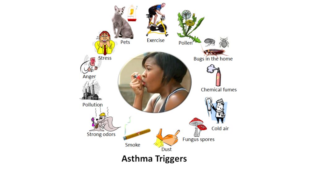 Causes and Triggers of Asthma