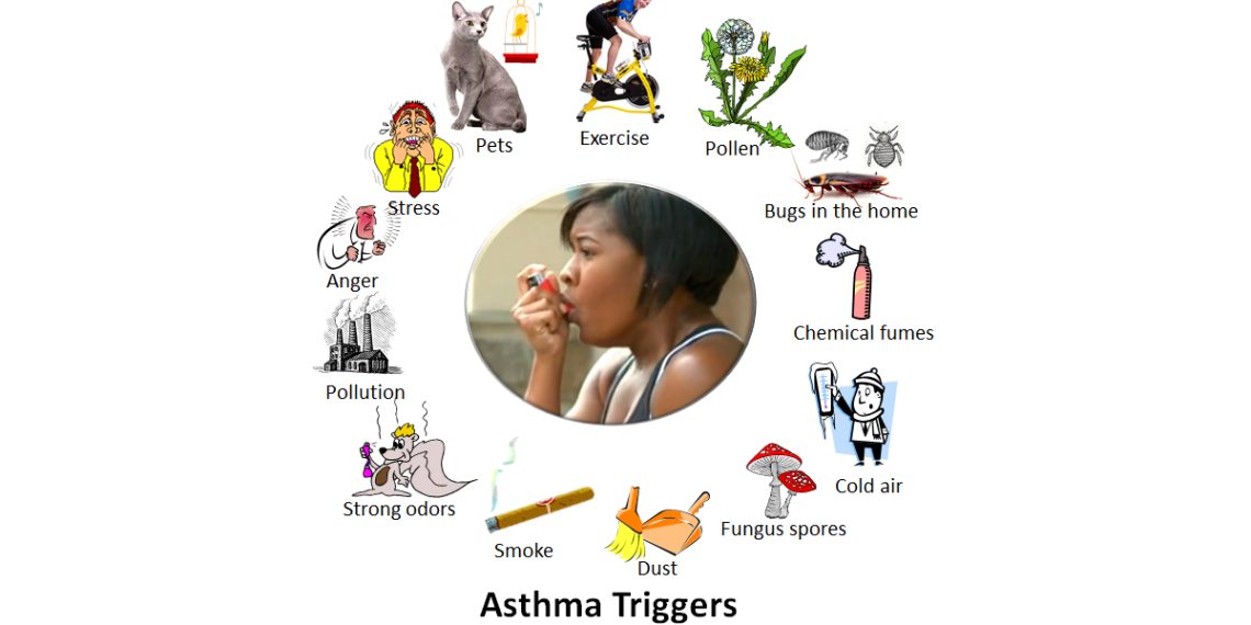 Causes and Triggers of Asthma