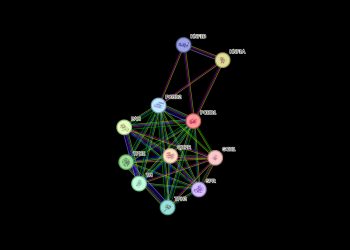 Causes of Alkaptonuria