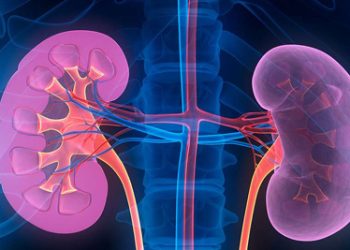 Complications and Long-Term Outlook of ADPKD