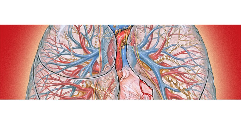 Complications and Recovery of ARDS