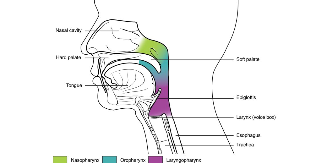 Complications of Aspergillosis