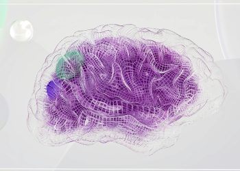 Diagnosis and Evaluation of Brain Tumours