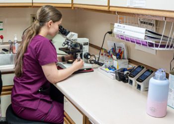 Female medical professional examining samples under a microscope in a clinical laboratory setting.