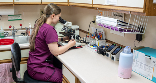 Female medical professional examining samples under a microscope in a clinical laboratory setting.