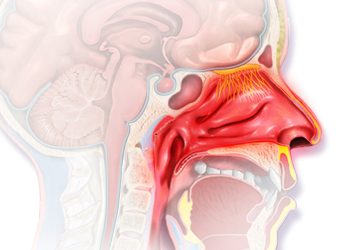 Diagnosis of Allergic Rhinitis