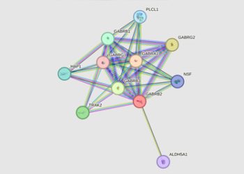 Diagnosis of Angelman Syndrome