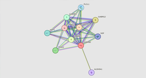 Diagnosis of Angelman Syndrome