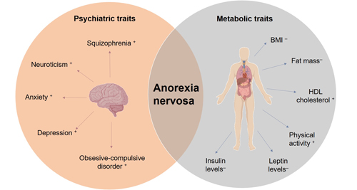 Diagnosis of Anorexia Nervosa