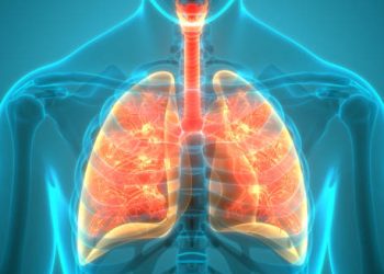 3D illustration of inflamed lungs showing bronchitis diagnosis