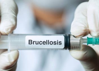 Syringe labelled brucellosis held by gloved hands