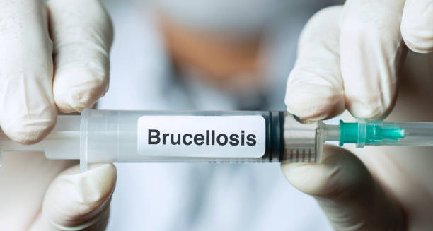 Syringe labelled brucellosis held by gloved hands
