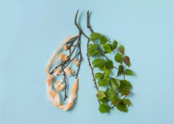 Artistic representation of healthy and diseased lungs using leaves and twigs on a blue background.
