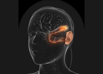 Living with Auditory Processing Disorder