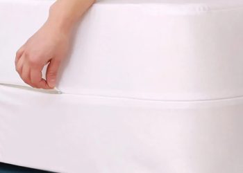 Prevention and Living Bedbug-Free