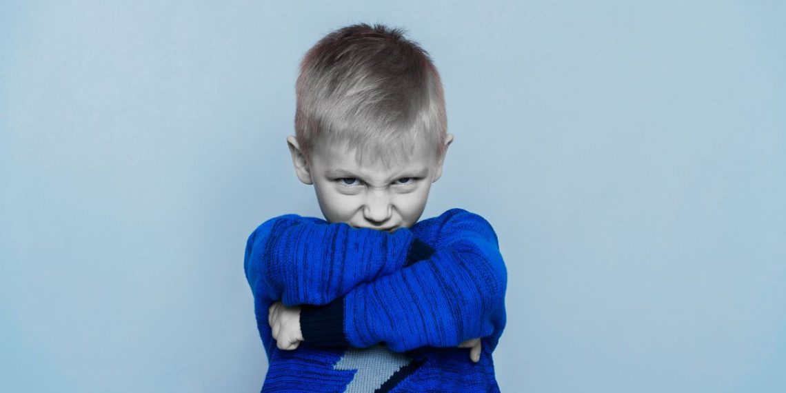 The Explosive Child by Dr. Ross Greene