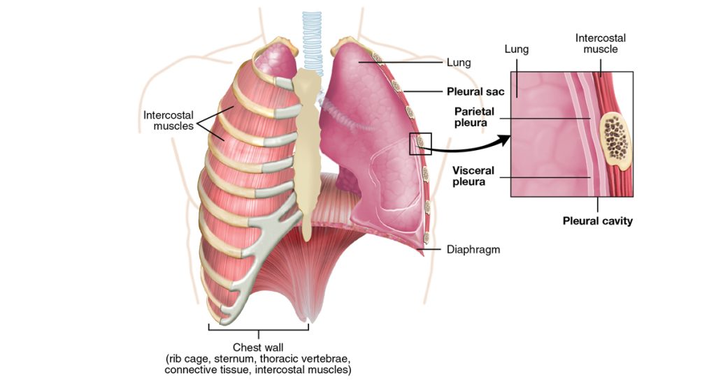 Treatment and Management of Asbestosis