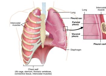 Treatment and Management of Asbestosis