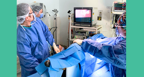 Treatment for Anal Fistula