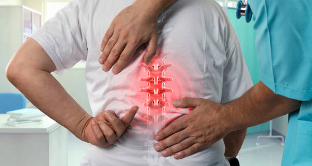 Doctor examining patient’s lower back with spine illustration