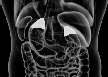 What Causes Addison’s Disease