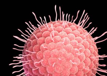 3D illustration of varicella-zoster virus causing chickenpox