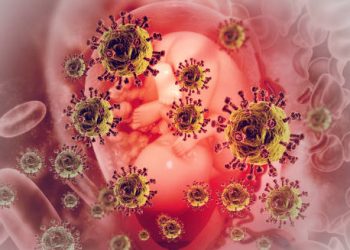 Illustration of viruses and infections affecting a developing foetus