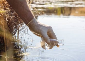 Hand in glove collecting water sample from contaminated natural source