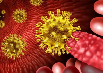 3D illustration of Clostridium difficile bacteria invading intestinal tissue