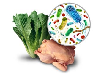 Lettuce and raw chicken with a magnified view of microscopic parasites and bacteria.