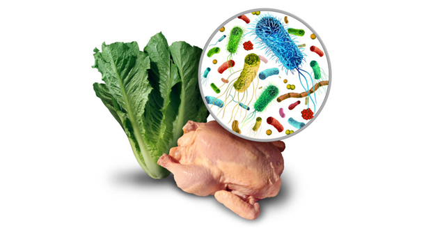 Lettuce and raw chicken with a magnified view of microscopic parasites and bacteria.