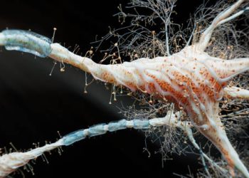 Close-up 3D rendering of neurons and synaptic activity in the brain