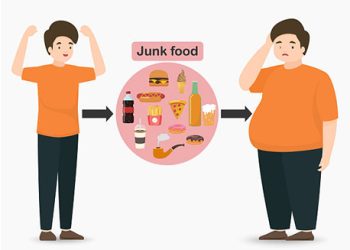 Junk food leading to obesity and diabetes