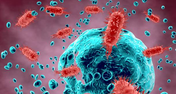 Causes of Diphtheria