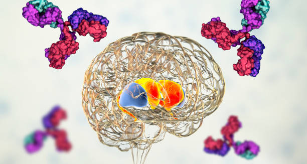 3D brain illustration showing antibodies and highlighted basal ganglia regions