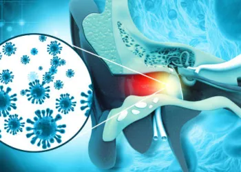 Medical illustration showing bacteria causing an ear infection