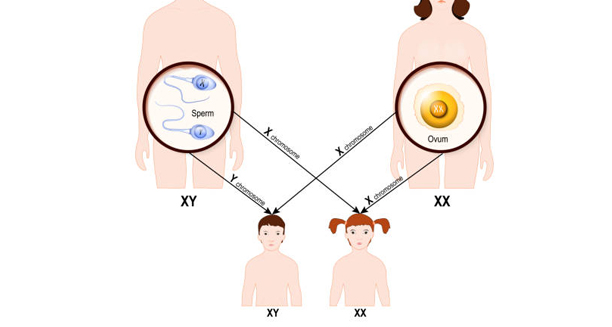 Causes of Ehlers-Danlos Syndromes