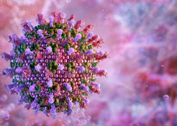 3D illustration of virus particles that cause encephalitis.