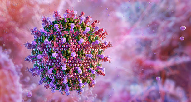 3D illustration of virus particles that cause encephalitis.