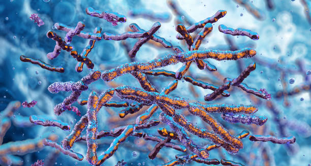 Microscopic view of bacteria that can cause endocarditis.